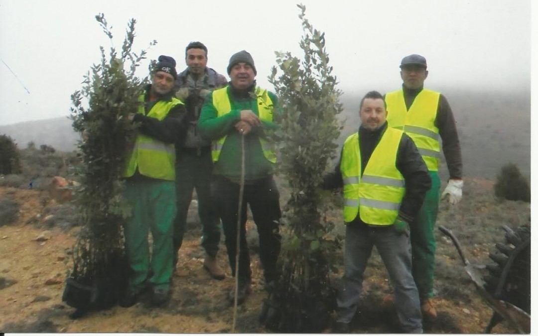 SAGIDES. SORIA