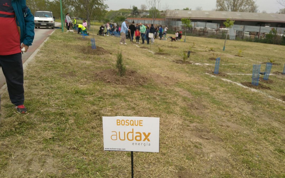 PERALES DEL RIO.GETAFE